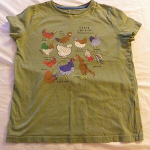 GUC Mini Boden 11-12 Years Crazy Chicken T-Shirt